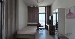 Skyline Downtown View Apartment for Sale